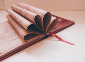 想买美国学区房？这些公立学校资源最强的区域别错过
